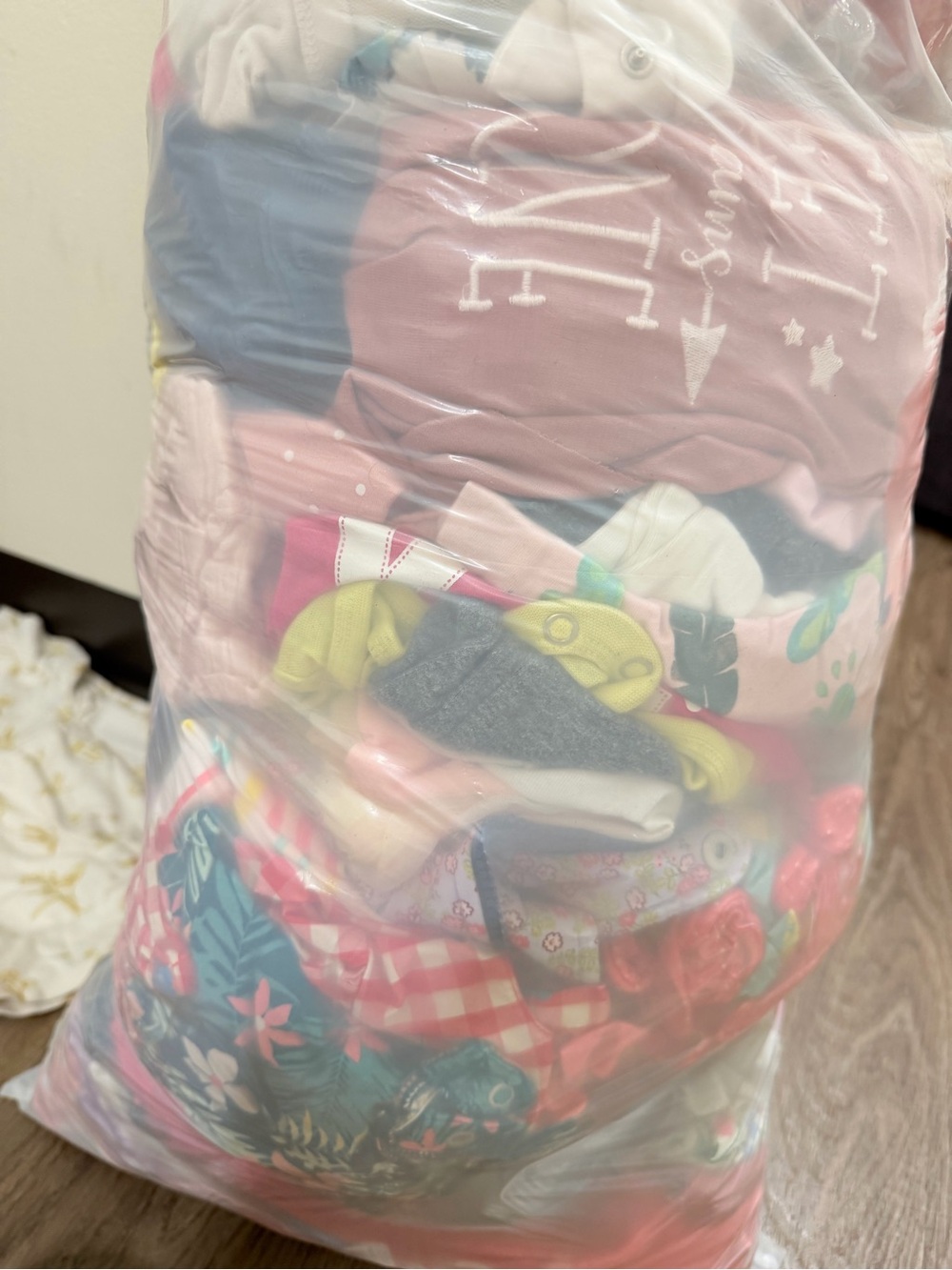 SHEIN Girls Mixed Pink, Blue, Green Clothing Bag